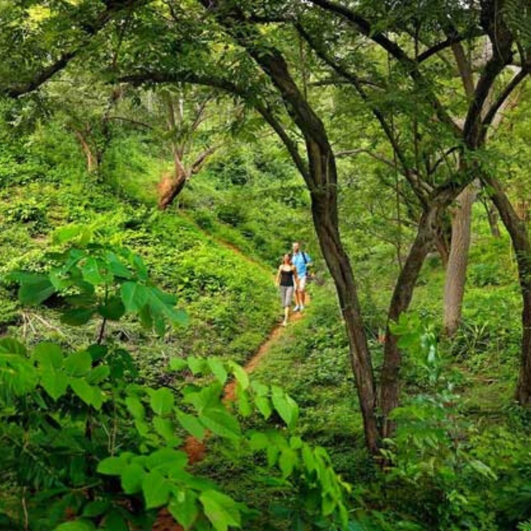 thekkady