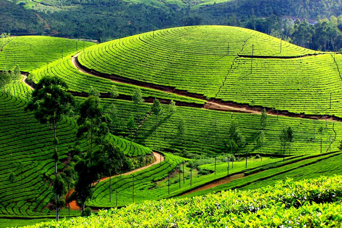 Munnar